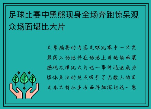 足球比赛中黑熊现身全场奔跑惊呆观众场面堪比大片