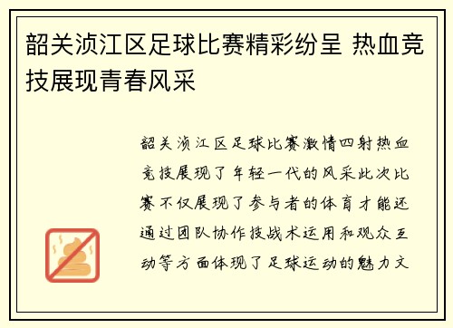 韶关浈江区足球比赛精彩纷呈 热血竞技展现青春风采