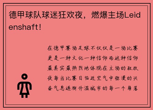德甲球队球迷狂欢夜，燃爆主场Leidenshaft！