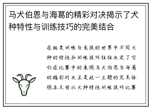 马犬伯恩与海葛的精彩对决揭示了犬种特性与训练技巧的完美结合