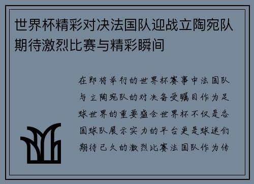 世界杯精彩对决法国队迎战立陶宛队期待激烈比赛与精彩瞬间